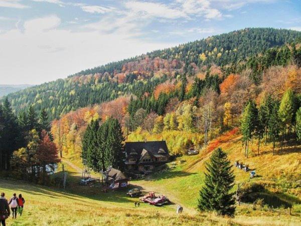 Bukowa Chata Jugów Exterior foto